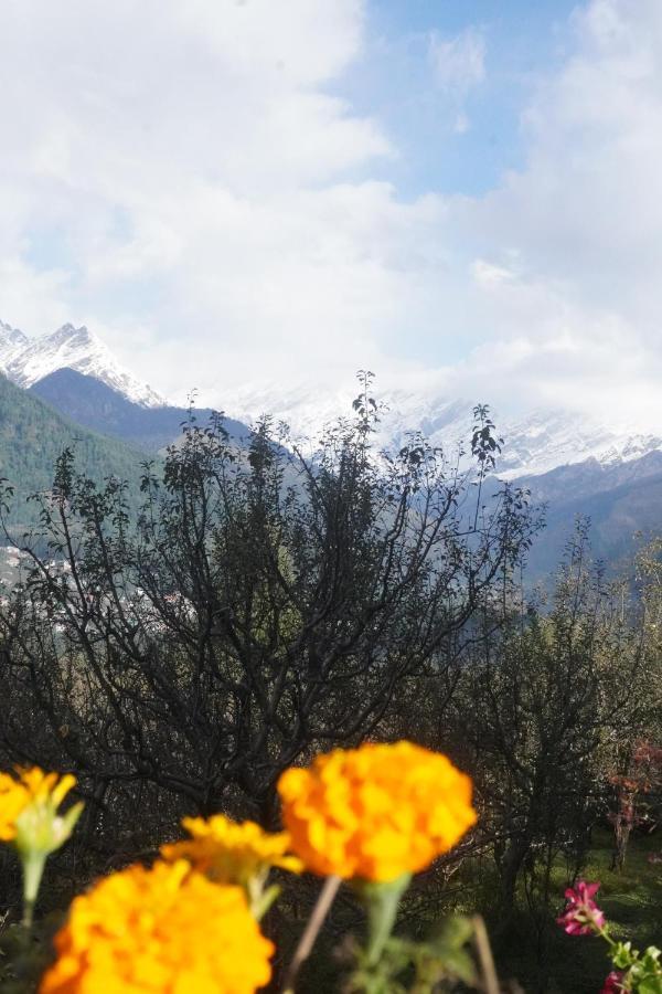 Himalayan Woods Cottage Манали Экстерьер фото